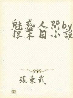魅惑人间by豺狼末日小说免费阅读