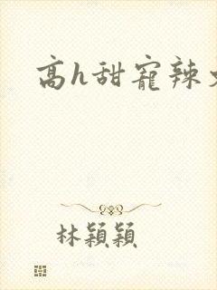 高h甜宠辣文