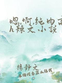 嗯,啊,纯肉高h辣文小说