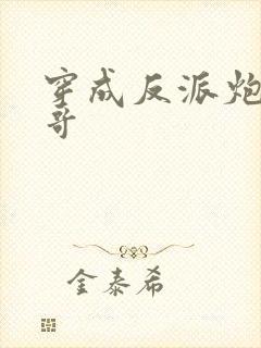 穿成反派炮灰他哥