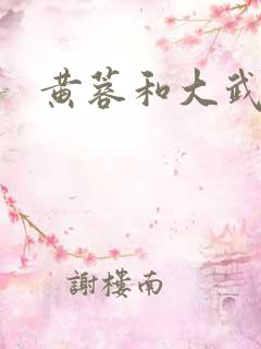 黄蓉和大武小武