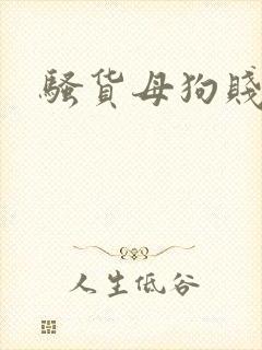 骚货母狗贱人
