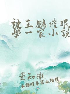 被王鹏催眠的同学一家小说