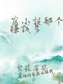 写小说那个软件赚钱多