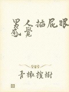 男人插屁眼什么感觉
