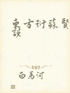 东方衍苏贤儿小说