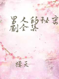 男人的秘密电视剧全集
