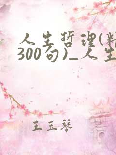人生哲理(精选300句)_人生感悟的句子