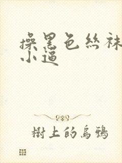 操黑色丝袜欧美小逼 操黑色丝袜欧美小逼