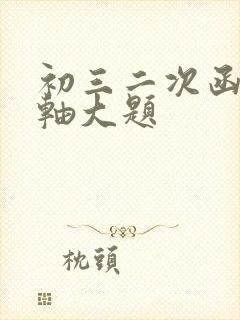 初三二次函数压轴大题
