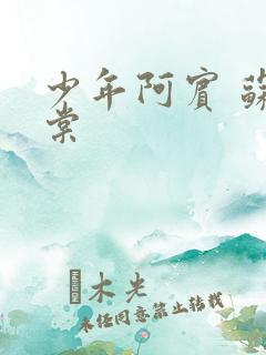 少年阿宾 苏语棠