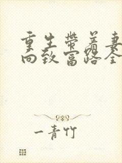 重生带着妻儿走向致富路全集分享