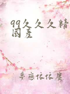 99久久久精品国产
