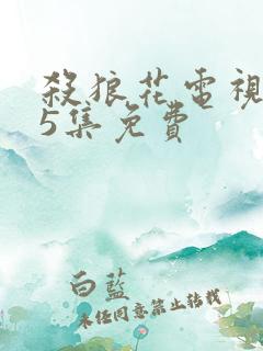 杀狼花电视剧25集免费