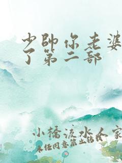 少帅你老婆又跑了第二部