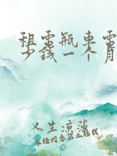 租电瓶车电瓶多少钱一个月
