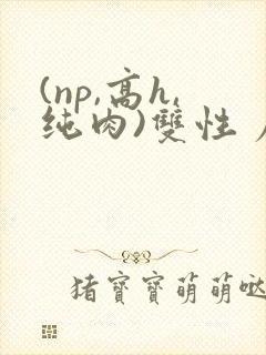 (np,高h,纯肉)双性 尿道