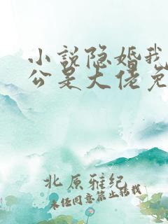 小说隐婚我的老公是大佬免费阅读