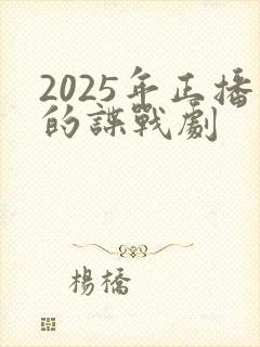 2025年正播的谍战剧