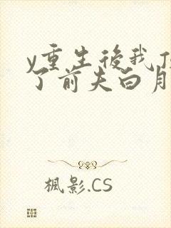 y重生后我顶替了前夫白月光