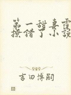 第一甜妻霍先生撩错了小说