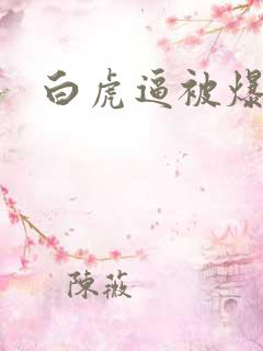 白虎逼被爆操