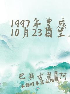 1997年农历10月23日生辰八字
