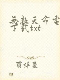 无敌天命电子书下载txt