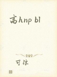 高hnp bl