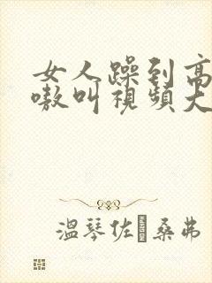 女人躁到高潮嗷嗷叫视频大全