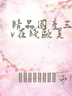 精品国产三级av在线欧美