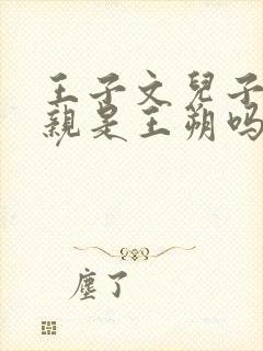 王子文儿子的父亲是王朔吗