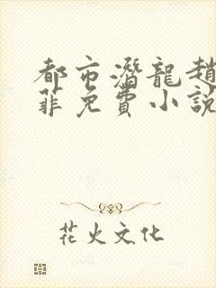都市潜龙赵东苏菲免费小说