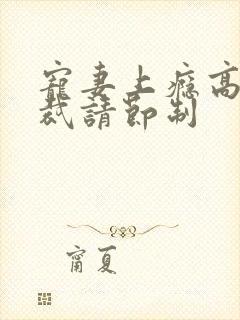 宠妻上瘾高冷总裁请节制