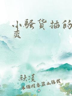 小骚货插的爽不爽