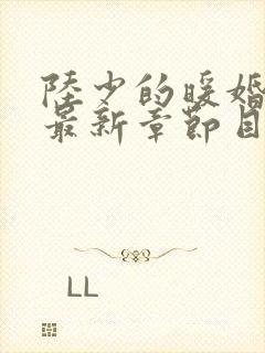 陆少的暖婚新妻最新章节目录