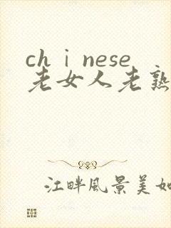 chⅰnese老女人老熟妇hd