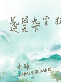 凤归九霄 狂妃逆天下