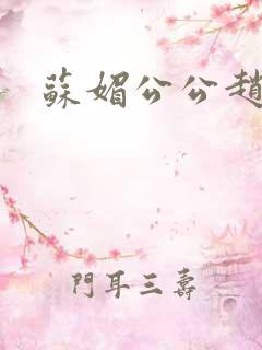 苏媚公公赵大宝