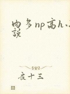 肉多np高h小说