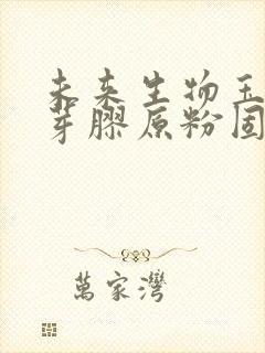 未来生物玉米胚芽胶原粉固体饮料
