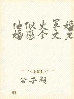 他似火军婚高干婚恋全文免费