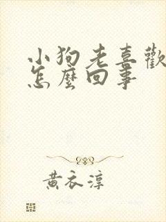 小狗老喜欢舔人怎么回事