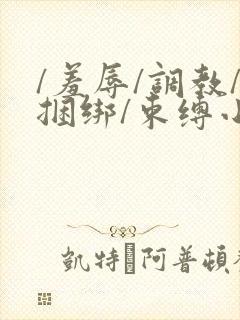 /羞辱/调教/捆绑/束缚小说