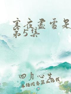 寒夜尽处是卿心第5集