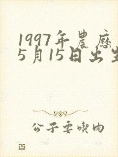 1997年农历5月15日出生是什么命