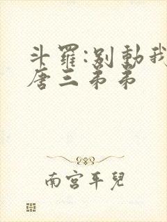 斗罗:别动我的唐三弟弟