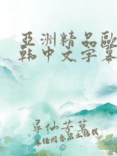 亚洲精品欧美日韩中文字幕