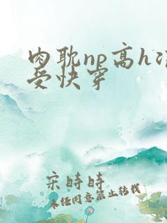 肉耽np高h浪受快穿