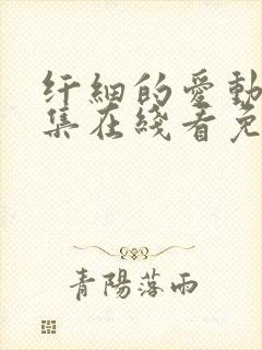 纤细的爱动漫全集在线看免费观看